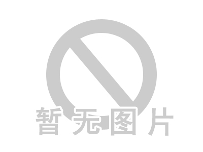 碳化硅內(nèi)襯